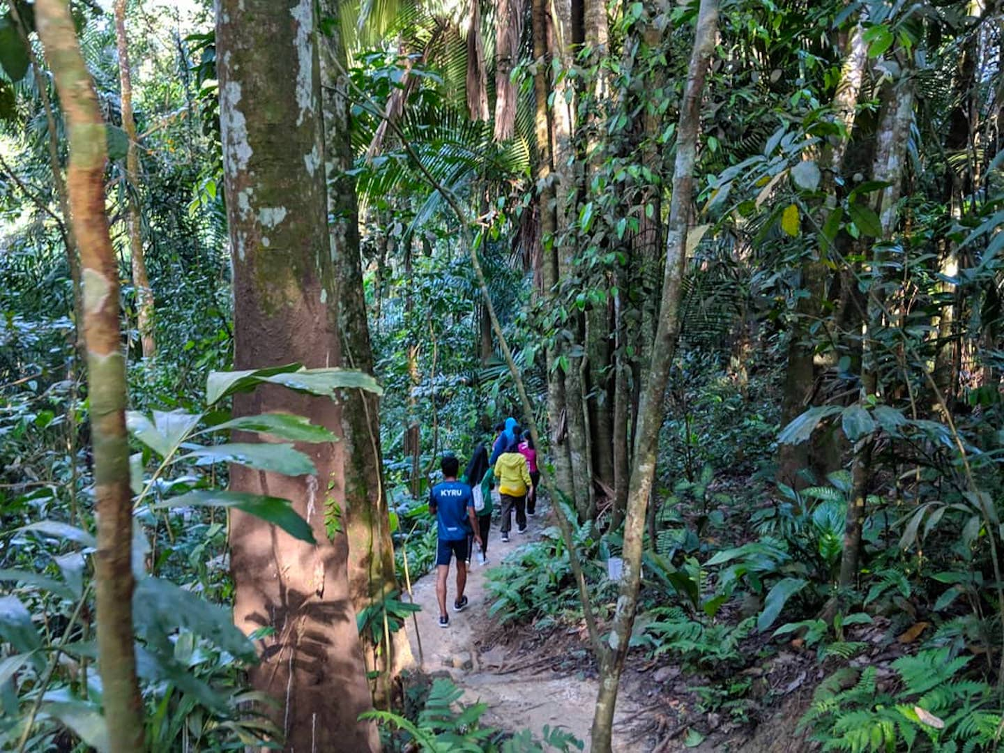 trekking hiking things to do in kl